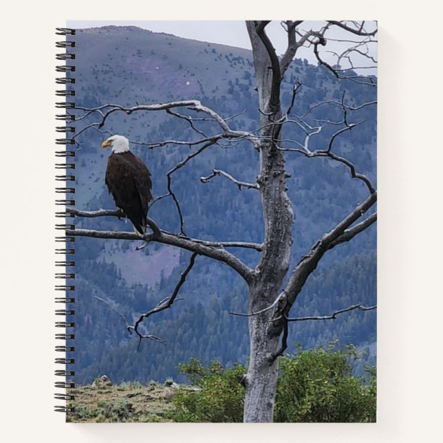 Cuaderno en espiral de guardia (Anverso)