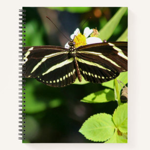 Cuaderno en espiral de la mariposa cebra de alas l