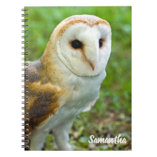 Cuaderno en espiral de lechuza común