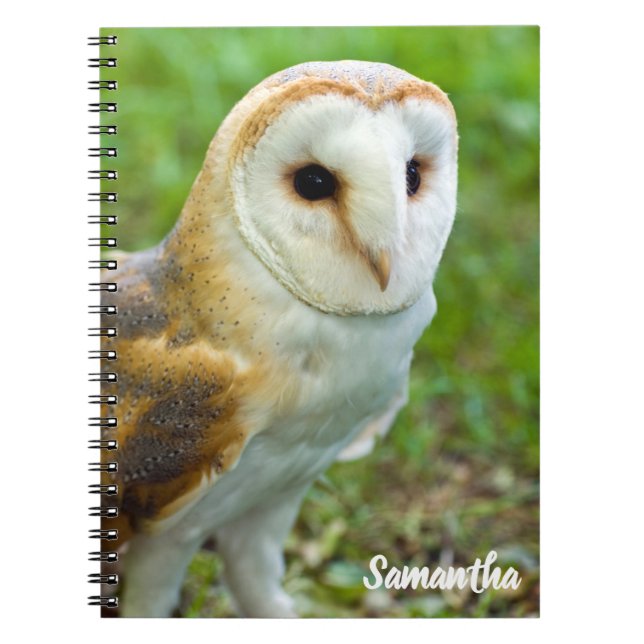 Cuaderno en espiral de lechuza común (Frente)