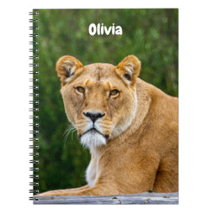 Cuaderno en espiral de León