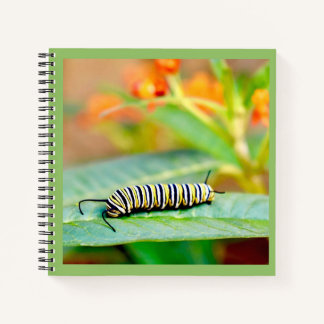 Cuaderno en espiral de oruga monarca