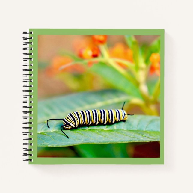 Cuaderno en espiral de oruga monarca (Anverso)