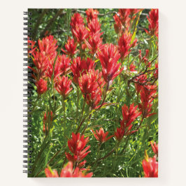 Cuaderno en espiral de pincel