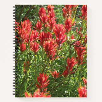 Cuaderno en espiral de pincel