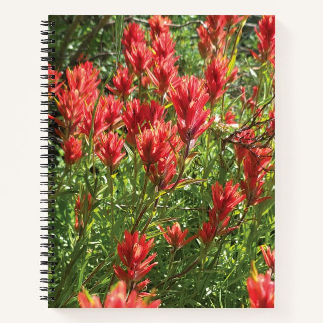 Cuaderno en espiral de pincel (Anverso)