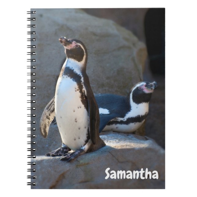 Cuaderno en espiral de pingüinos de Humboldt (Frente)