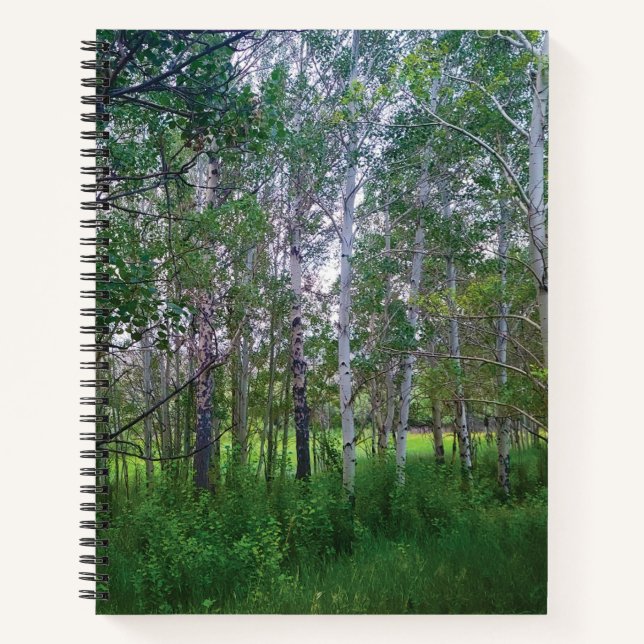 Cuaderno en espiral de Quakies (Anverso)