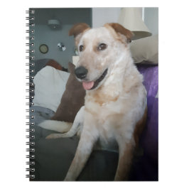 Cuaderno en espiral de Red Heeler