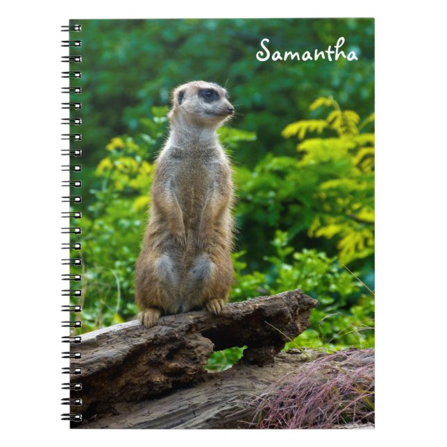 Cuaderno en espiral de suricata (Frente)