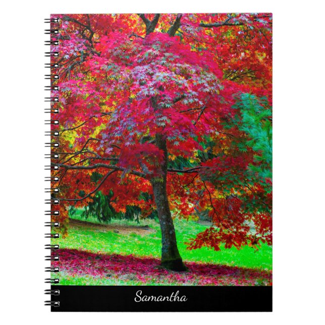 Cuaderno en espiral del arce japonés (Frente)