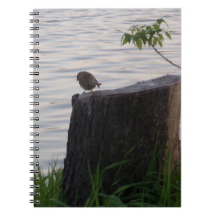 Cuaderno en espiral Pájaro en un tocón