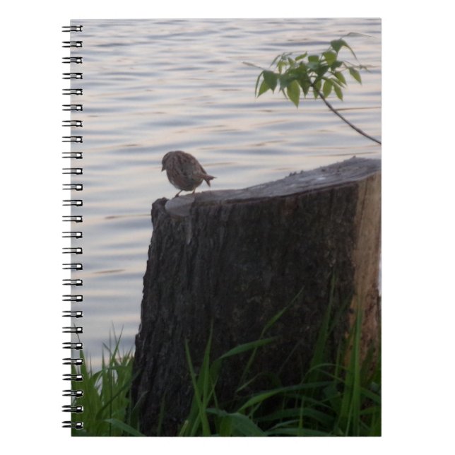 Cuaderno en espiral Pájaro en un tocón (Frente)