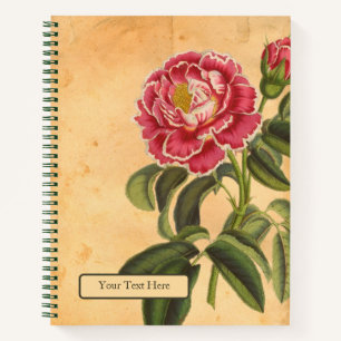 Cuaderno en espiral Rose de Provence