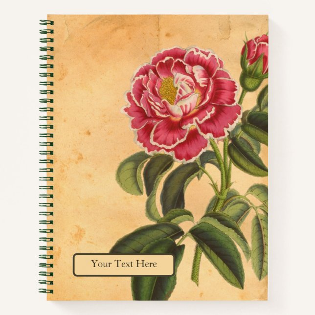 Cuaderno en espiral Rose de Provence (Anverso)