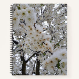 Cuaderno en espiral Snowy Blossom