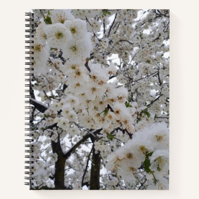 Cuaderno en espiral Snowy Blossom (Anverso)