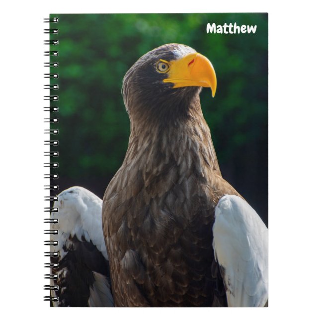 Cuaderno en espiral Stellar Sea Eagle (Frente)