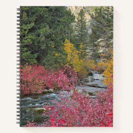 Cuaderno en espiral Stream Blooms
