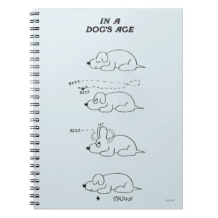 Cuaderno En la edad de un perro