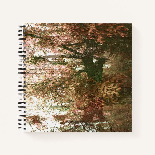 Cuaderno En lo profundo del bosque... (Anverso)