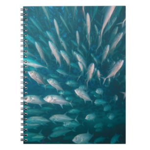 Cuaderno En los enchufes