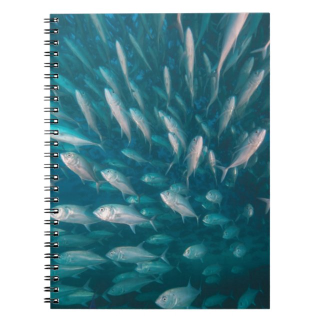 Cuaderno En los enchufes (Frente)