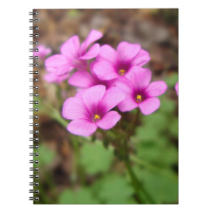 Cuaderno En mi bloc de notas en la puerta