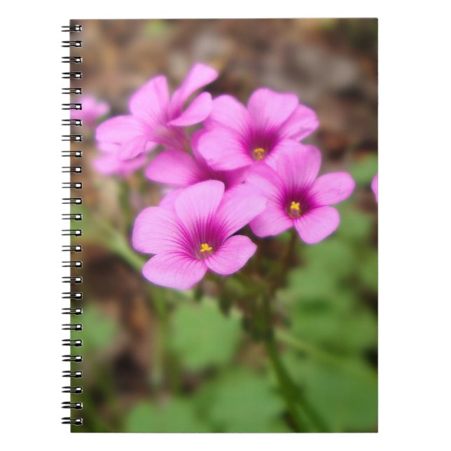 Cuaderno En mi bloc de notas en la puerta (Frente)