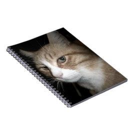 Cuaderno ¿En qué está pensando?