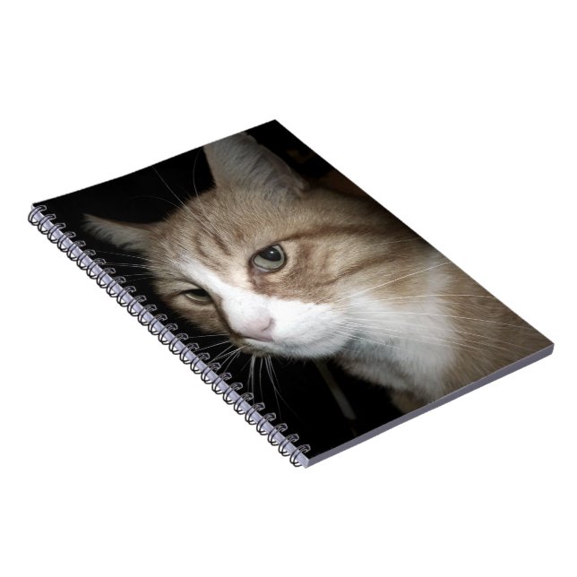 Cuaderno ¿En qué está pensando? (Lado Derecho)