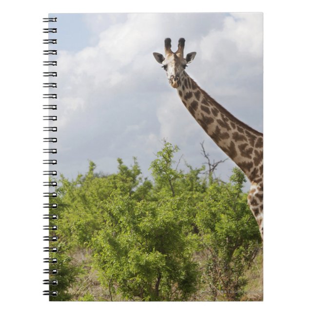 Cuaderno En safari en Tanzania, África. 2 (Frente)