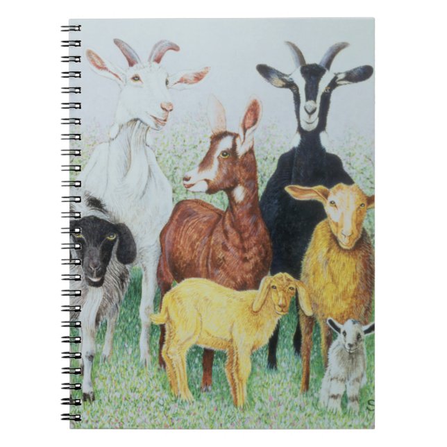 Cuaderno En trébol (Frente)