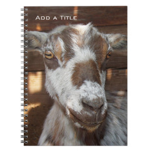 Cuaderno enano de la cabra