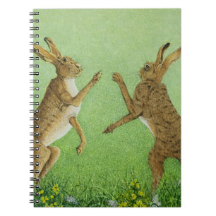 Cuaderno Encajonamiento listo