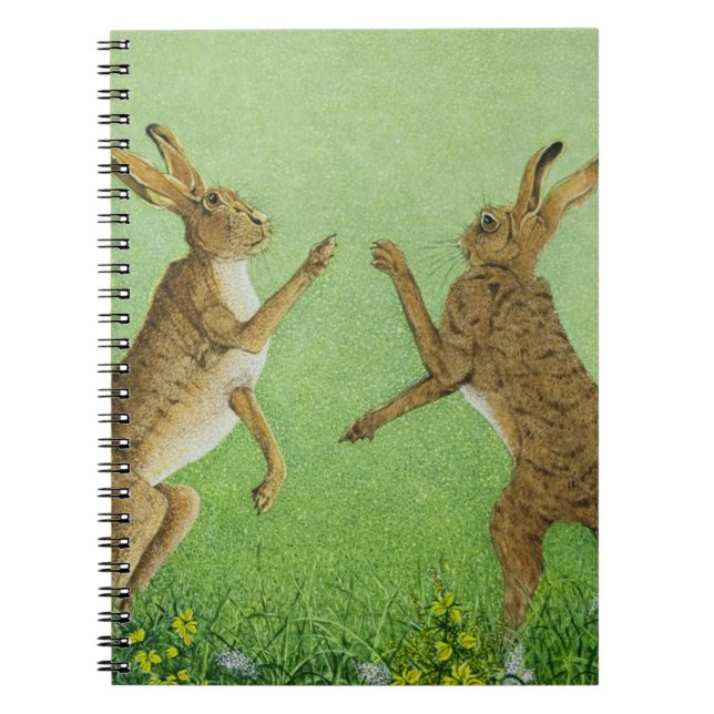 Cuaderno Encajonamiento listo (Frente)