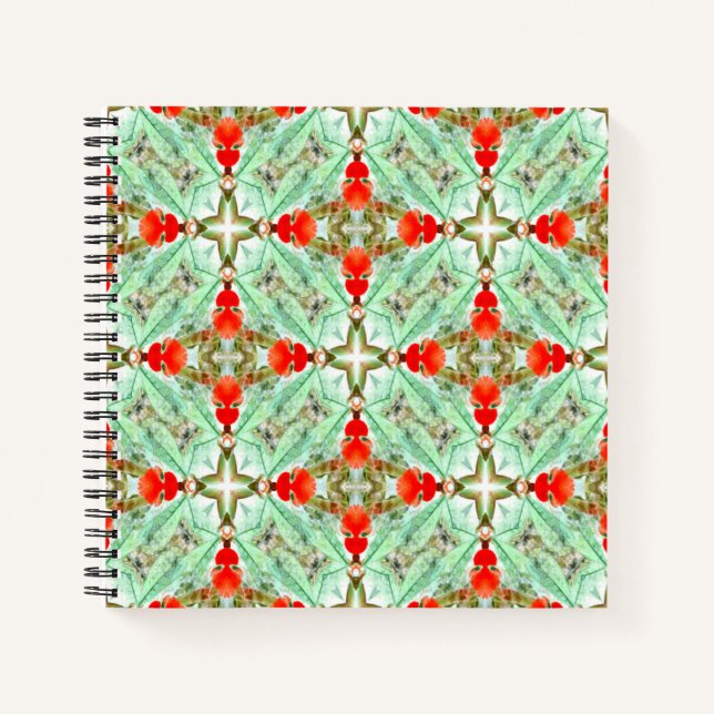 Cuaderno Encantado... (Anverso)