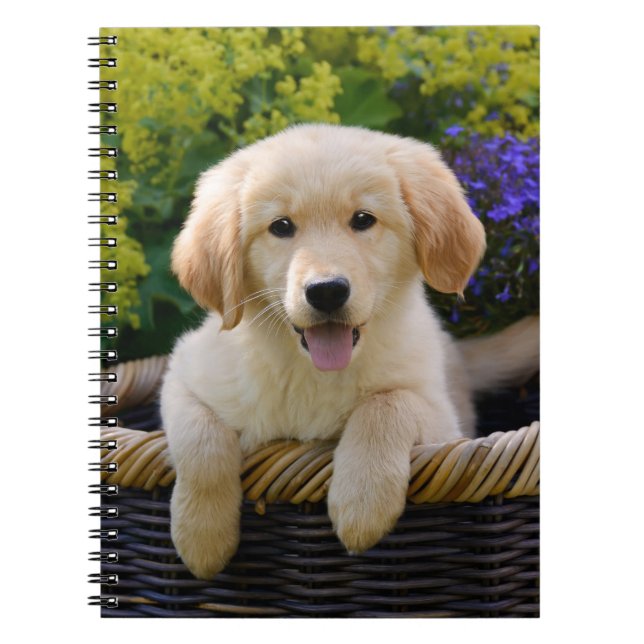 Cuaderno Encantador recuperador de Goldie, títere, cubierta (Frente)
