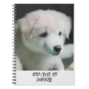Cuaderno "Encanto de Cachorro Blanco Esponjoso"