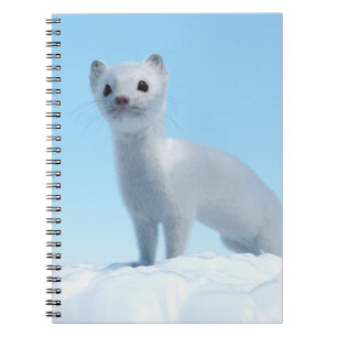 Cuaderno Encanto de Comadreja Ártica