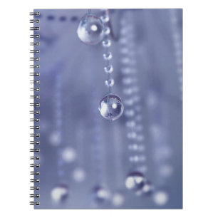 Cuaderno Encender el brillo en la computadora portátil Crys