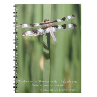 Cuaderno encuadernado en espiral con fotografía de