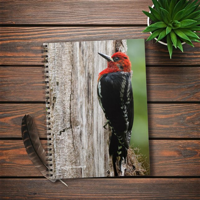 Cuaderno Encuentro con un sucker de pecho rojo (Red-Breasted Sapsucker in the Forest Journal Cover Photo)