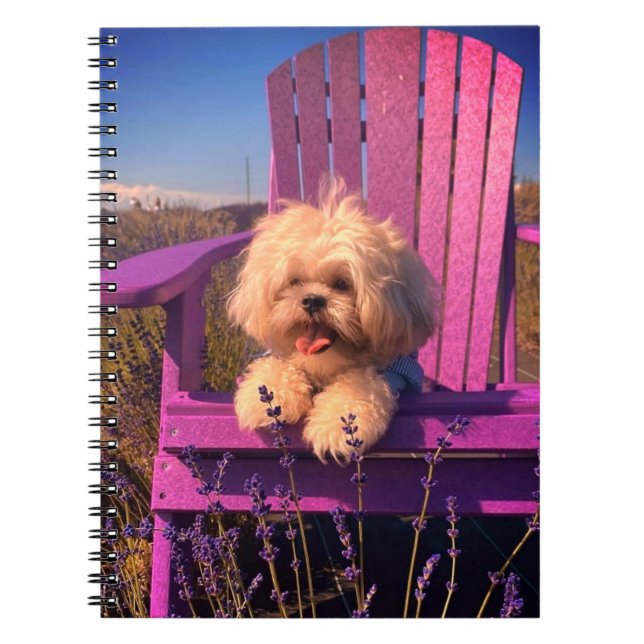 Cuaderno Energetic Toy Shih Tzu Puppy, Happy Dog Relaxing (Frente)