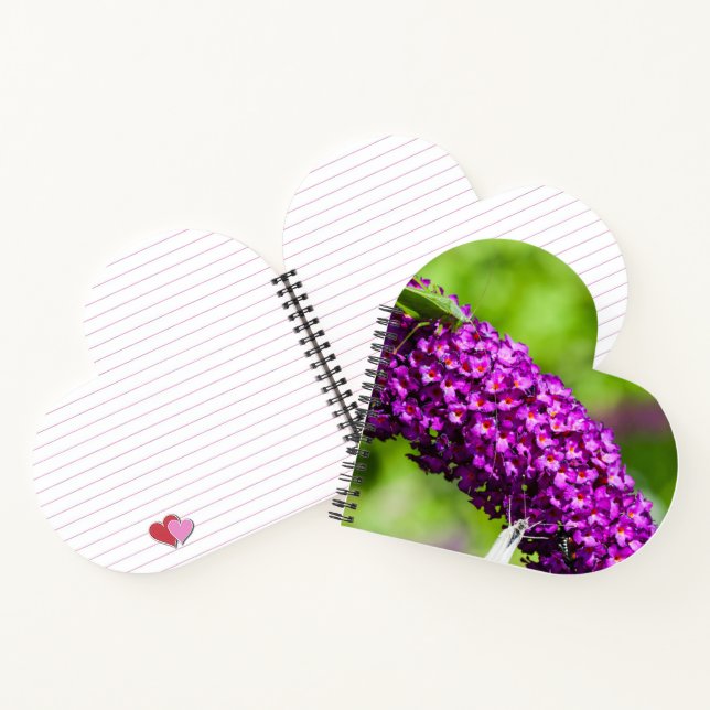 Cuaderno energía katydid (Interior)