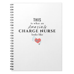 Cuaderno Enfermero de cargo