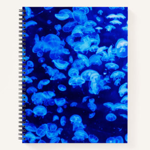 Cuaderno Enjambre de medusas