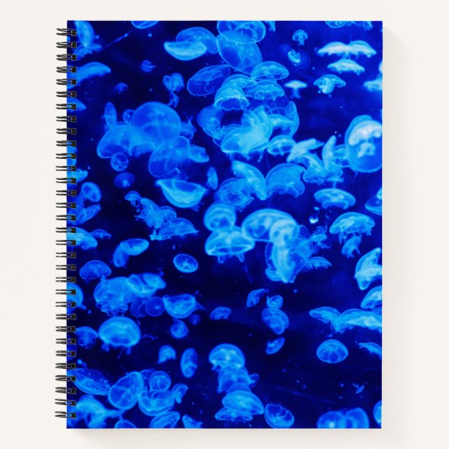 Cuaderno Enjambre de medusas (Anverso)