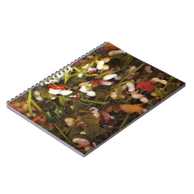 Cuaderno Ensalada de huevo de hormiga roja... Comida callej (Lado Izquierdo)