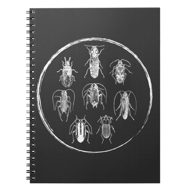 Cuaderno Entomología de la naturaleza del colector de fallo (Frente)
